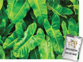 Fotótapéta Flizelina Természet Levelek Botanikus Zöld 100x75 ragasztó