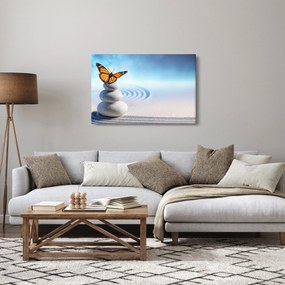 Kép - Zen kert (90x60 cm)