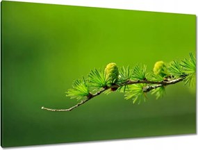 Festmények 120x80 Fa Fák Kilátás