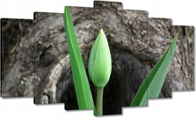 Vászonkép 140x80 Zöld tulipán