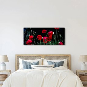 Kép - Pipacsok tánca (120x50 cm)
