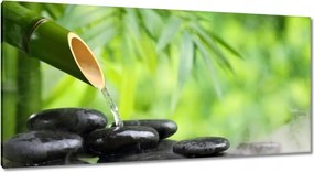 Vászonkép 115x55 Sanus per aquam Forrás