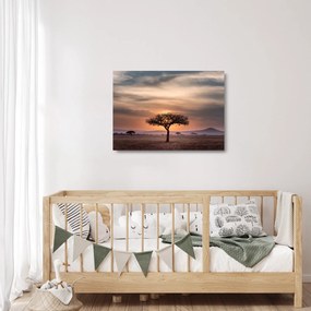 Naplemente képe Tanzániában (üvegen) (70x50 cm)
