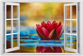 Poszterek 120x80 Vízi liliom Virág Víz