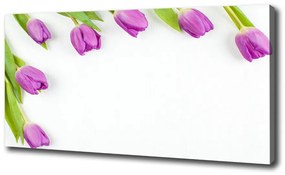 Egyedi vászonkép Lila tulipánok oc-78573099