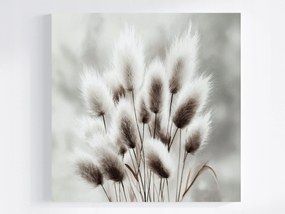 Vászonkép Canvas Akvarell Természet Növényzet Fű Szürke 40x40