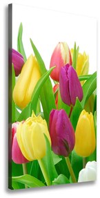 Vászonkép nyomtatás Színes tulipán ocv-12652067
