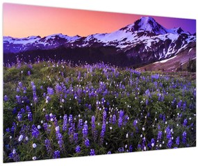 Kép - Vulkán és a virágok (90x60 cm)