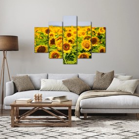 Kép - Napraforgók (150x105 cm)