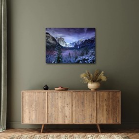 Kép - Yosemite, USA (70x50 cm)