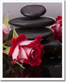 Poszterek keretben 40x50 Rózsák a kövek körül