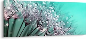 Kép - harmatos növény (120x50 cm)