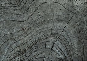 Flizelina fotótapéta Nappaliba és Hálószobába Befőttesüveg mintás 312x219 Ragasztó