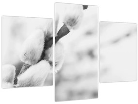 Kép - A tavasz kezdete (90x60 cm)