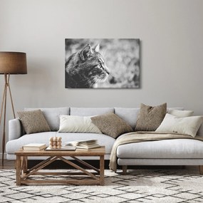 Kép - Macska (90x60 cm)