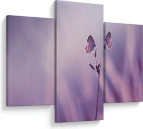 Kép - Lila pillangók (90x60 cm)