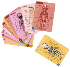 Janod - BODYMAGNET mágneses emberi test puzzle játék