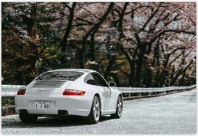 Poszterek 155x105 Porsche AutĂł