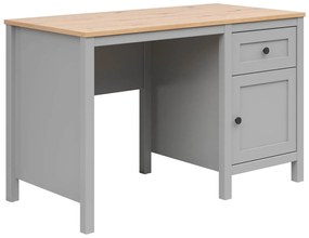 Íróasztal Boston DZ103Ajtókkal, Fiókos, 78x120x60cm, Fényes fa, Szürke
