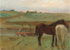 Kép - Edgar Degas, Horses in a Meadow, reprodukciók (70x50 cm)