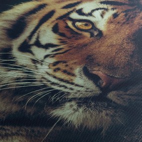 Kép - Szibériai tigris (órával) (90x30 cm)