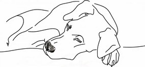 Poszter 30x45cm Kutya pihenés