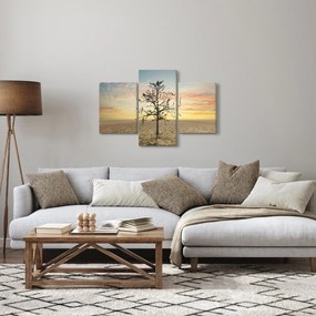 Kép - fa a sivatagban (90x60 cm)
