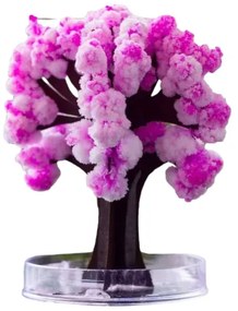 Zaparkorun Mágikus Sakura fa