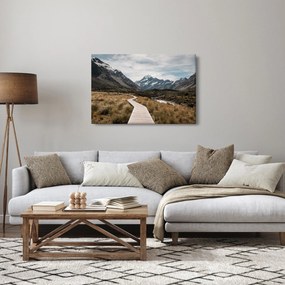 Kép - Sétány a hegységben Mt. Cook (90x60 cm)