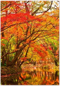 Poszterek 70x100 Őszi tájkép folyóval