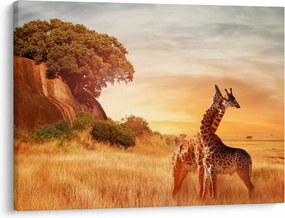Kép - Zsiráfok Afrikában (70x50 cm)