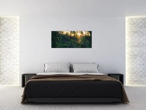 A ragyogó nap képe a fák gallyain keresztül (120x50 cm)