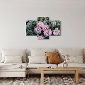 Kaktusz virágának képe (90x60 cm)