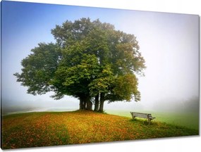 Vászonkép 120x80 Tájkép paddal Fa