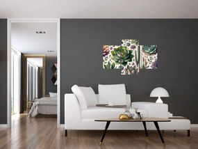 Kép - Pozsgás növények (90x60 cm)