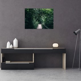 Kép - Az erdőn át vezető út (70x50 cm)