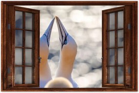 Poszterek 90x60 Madarak