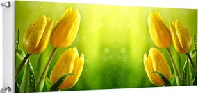 Mágneses Radiátorszőnyeg 140x60 Tulipán Fotótapéta