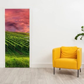 Fotótapéta ajtóra - Szőlőskert színes égbolttal (95x205cm)