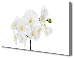 Vászonkép falra Fehér Orchidea Virág 100x50 cm