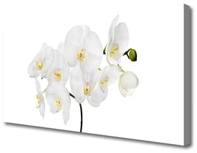 Vászonkép falra Fehér Orchidea Virág 120x60 cm