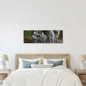 Kép - Farkasok a sziklán (órával) (90x30 cm)