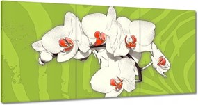 Vászonkép 120x60 Lime és orchidea