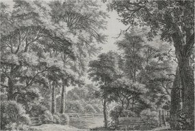 Flizelin tapéta Flizelin Fali Prémium Erdei táj 104x70 Ragasztó