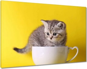 Vászonkép 100x70 Cica