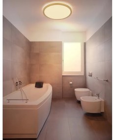 Globo 41562-24MM -LED dimmelhető fürdőszobai lámpa SAPANA LED/24W/230V IP44