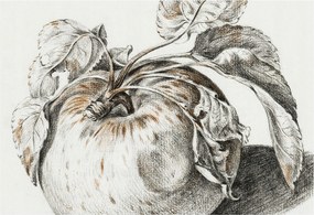 Fotótapéta Flizelin tapéta Hálószoba és Nappali Alma levelek 152x104