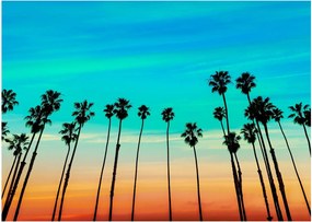 Üveg kép - Kalifornia (70x50 cm)
