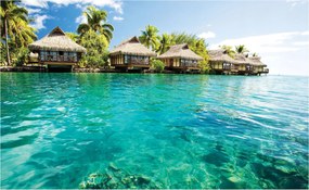 Fotótapéta Maldív-szigetek Paradicsom lagúna egzotikusság 368x254 növényzet +ragasztó