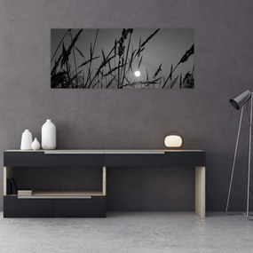 Kép - rét naplementével (120x50 cm)